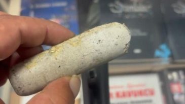 İnternetten Sipariş Dediği Mikrofonun İçinden Şok Edici Bir Şey Çıktı