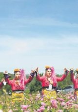 Isparta’da Gül Hasadı Başladı