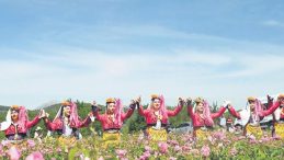 Isparta’da Gül Hasadı Başladı