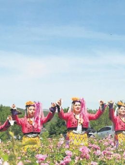 Isparta’da Gül Hasadı Başladı