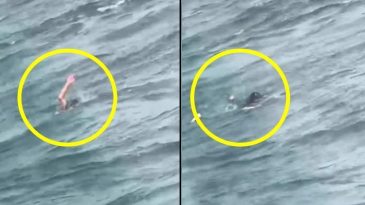 İstanbul Boğazı’nda Vapurdan Düşen 10 Yaşındaki Kız Çocuğu Görüntülendi