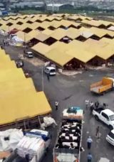 İstanbul’da Kurbanlıklar Pazara Gelmeye Başladı