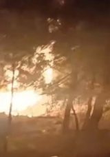 İzmir’de Orman Yangını Çıkaran 5 Defineci Tutuklandı