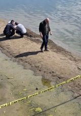 İznik Gölü’nde Şaşırtan Görüntü: 3 Gün Arayla İkincisi Bulundu!