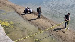 İznik Gölü’nde Şaşırtan Görüntü: 3 Gün Arayla İkincisi Bulundu!