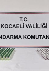 Kaçak Botoks Operasyonu: 1.8 Milyon TL’lik Ürün Ele Geçirildi