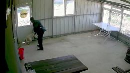Kahvehanede Bakılan Köpeği Bastonla Darp Etti: O Anlar Kamerada!