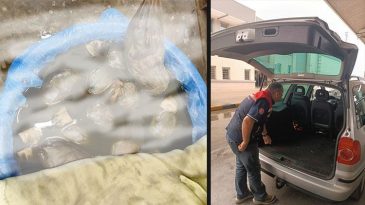 Kapıkule’de Kaçak Yolla Yurda Sokulmaya Çalışılan 8 Bin Sülük Yakalandı