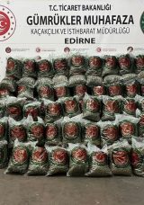 Kapıkule’de Tarihi Uyuşturucu Operasyonu: 382 Kilo Esrar Ele Geçirildi