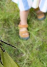 Kendisi Küçük Tehlikesi Büyük! Çocuklarda Kene Vakalarına Dikkat