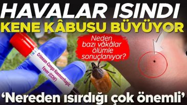 Keneler can almaya devam ediyor | Özellikle boyun bölgesinden ısırırsa çok daha riskli! Uzmanlar Karadeniz ve iç Anadolu’ya dikkat çekiyor