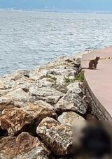 Kocaeli’de Sır Dolu Olay: Sahilde Kayalıklar Üzerinde Erkek Cesedi Bulundu!