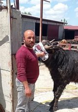 Komşuların Arazi Kavgasında Kan Döküldü: 1 Kişi Hayatını Kaybetti!