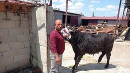 Komşuların Arazi Kavgasında Kan Döküldü: 1 Kişi Hayatını Kaybetti!
