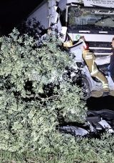 Kontrolden Çıkan TIR, Otomobili Biçti: 1 Kişi Hayatını Kaybetti