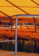 Kurban Bayramı İçin Hazırlıklar Devam Ediyor