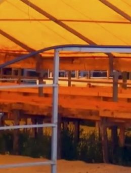 Kurban Bayramı İçin Hazırlıklar Devam Ediyor