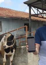 Kurban Dolandırıcılığı: 200 Bin TL Hava Oldu!