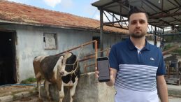 Kurban Dolandırıcılığı: 200 Bin TL Hava Oldu!