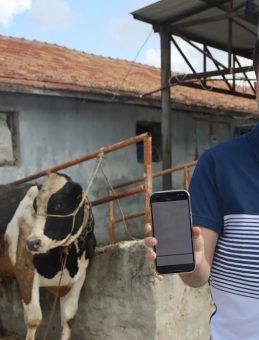 Kurban Dolandırıcılığı: 200 Bin TL Hava Oldu!