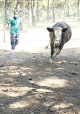 Kurban Yakalama Timi Göreve Hazır