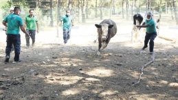 Kurban Yakalama Timi Göreve Hazır