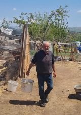 Kurt Saldırısı: 30 Küçükbaş Hayvan Yok Oldu