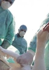 Kuş Gribi Tehlikesi Büyüyor