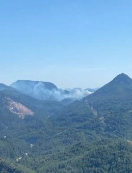 Marmaris’te Orman Yangını! Hava ve Kara Müdahalesi Başladı