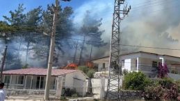 Marmaris’te Orman Yangını! Mücadele Devam Ediyor