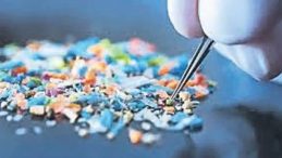 Mikroplastiklerin Erken Yaşlandırma Etkisi