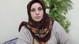 Nusaybin’de otomobilin çarptığı kadın hayatını kaybetti