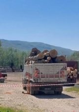 Orman İşletme Deposundaki Trafik Kazasında Feci Ölüm