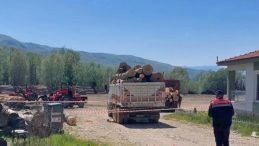 Orman İşletme Deposundaki Trafik Kazasında Feci Ölüm