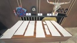Özel Karşılama Otelde Gerçekleşti