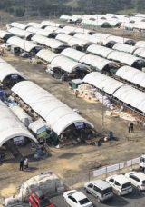 Pazarlar kurbanlıklarla doldu taştı