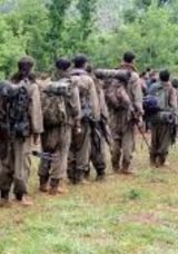 PKK Kendini Feshetti: 47 Yıl Önce Lice’de Başladı, Kandil’de Sona Erdi