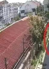 Sahiplenme Bahanesiyle Hayvanları Öldürdüğü İddia Edilen Zanlının Köpeği Tekmelediği Anlar Kamerada