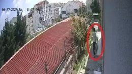 Sahiplenme Bahanesiyle Hayvanları Öldürdüğü İddia Edilen Zanlının Köpeği Tekmelediği Anlar Kamerada