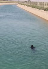 Şanlıurfa’da Sulama Kanalında 5 Gündür Kayıp Olarak Aranan Çocuk Bulundu