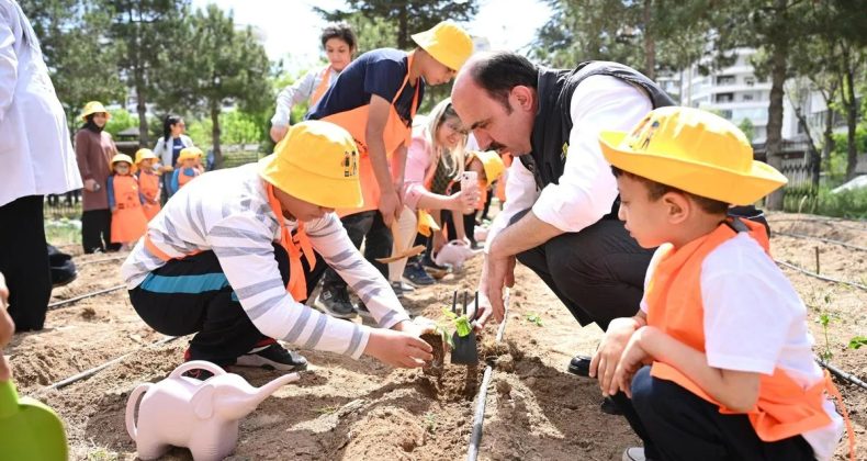Sebze Fideleri Özel Gençlerle Toprakla Buluştu! Konya BŞB Başkanı Altay’dan Örnek Proje