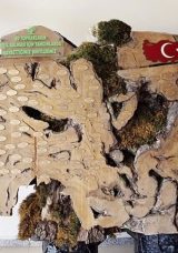 Şehitlerin isimleri anıt ağaçta yaşıyor