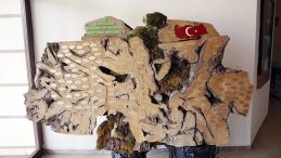 Şehitlerin isimleri anıt ağaçta yaşıyor