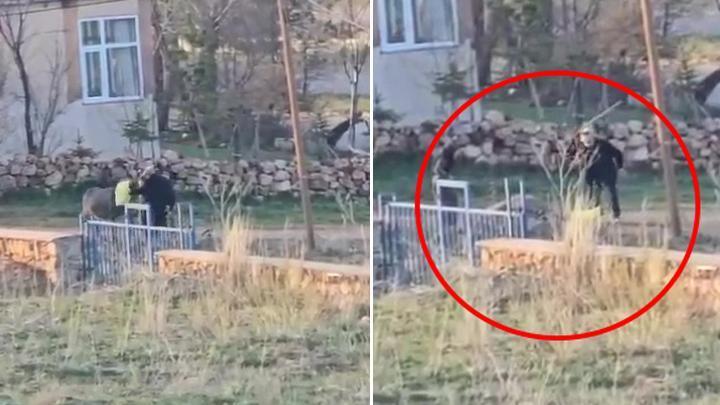 Sivas’ta Eşeğe Sopalı Eziyet Görüntülendi!