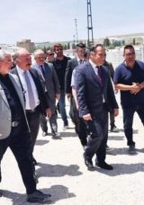 Sokak Hayvanlarına Doğal Yaşam Alanı