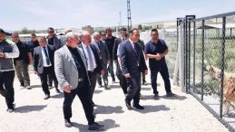 Sokak Hayvanlarına Doğal Yaşam Alanı