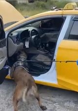 Sokak Satıcılarına Darbe! 13 Tutuklama