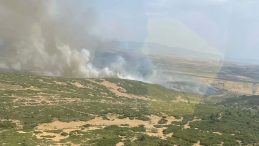 Son Dakika: İzmir-Foça’da Korkutan Yangın! Müdahaleler Devam Ediyor