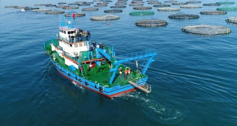 Su Ürünleri İhracatı 47,8 Milyon Dolara Ulaştı