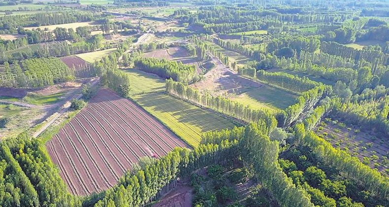 Tapular Yıl Sonunda Hazır: 2B ile İlgili Önemli Bilgiler